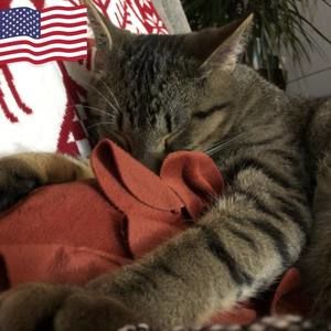 Meet your Posher, Kristy